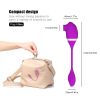 Sucking Vibrator G spot Vaginal Clitoris Sucker Sex Toys for - purple